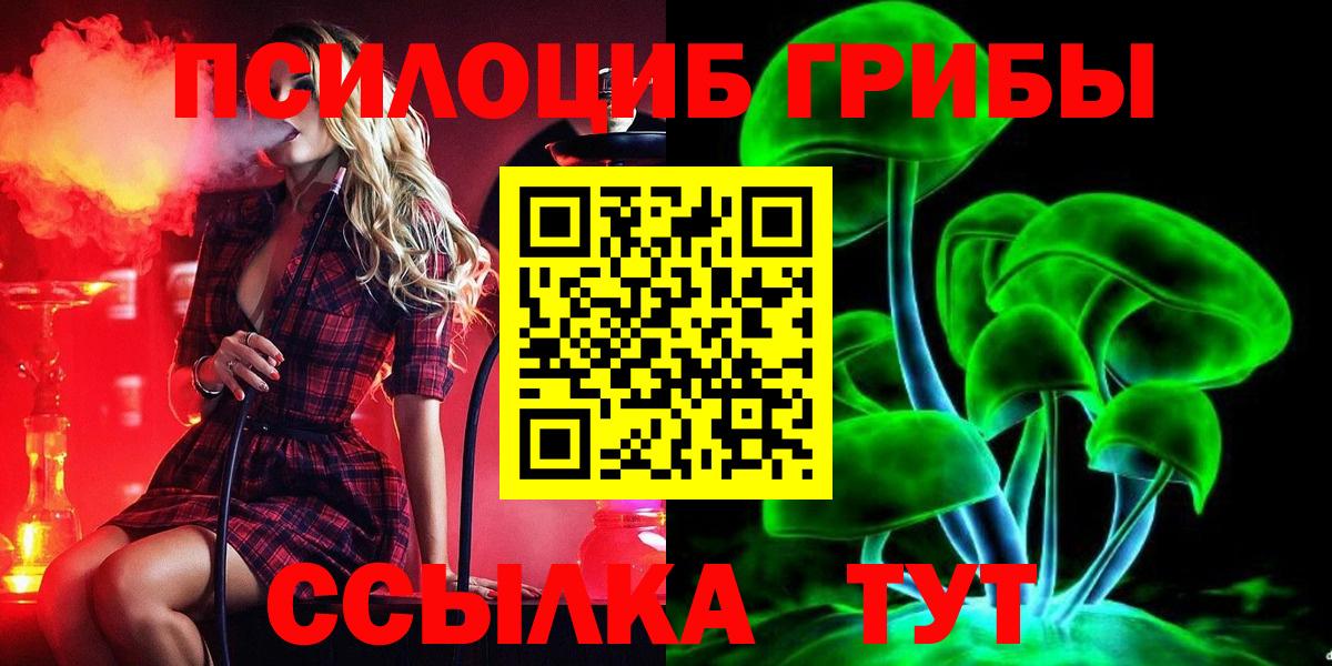 Бор  Псилоцибиновые грибы мухоморы  Вход с VPN 
